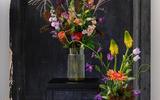 Zomercollectie-Alflora.jpg