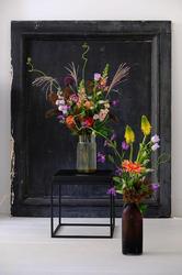 Zomercollectie-Alflora.jpg