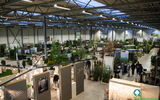 TREEVENTION_LOGOKLEIN_2014-2.jpg