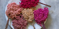 DSCF0787.jpg