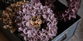 DSCF1614.jpg