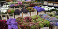 ADSC_0070.jpg