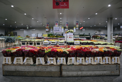 ADSC_0084.jpg