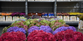 ADSC_0110.jpg