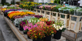 ADSC_0121.jpg
