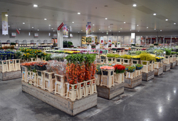 ADSC_0159.jpg