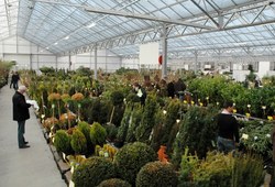 DSC_0214_600x394.jpg