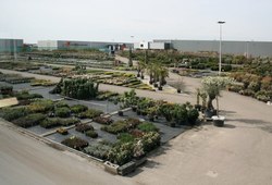 IMG_4021_600x396.jpg